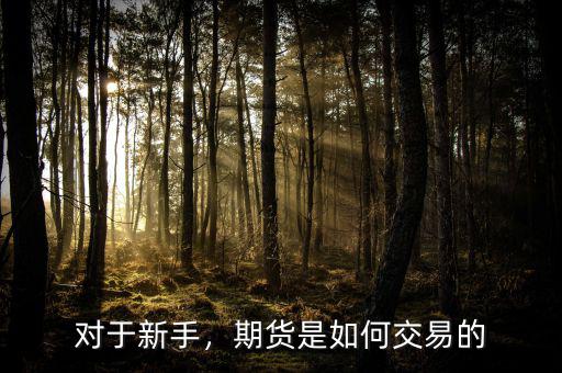 對(duì)于新手，期貨是如何交易的