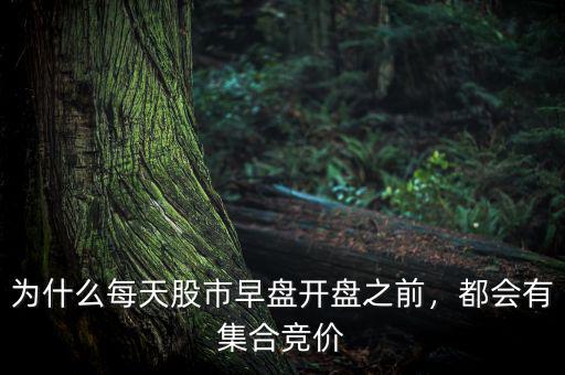 為什么每天股市早盤開盤之前，都會(huì)有集合競(jìng)價(jià)