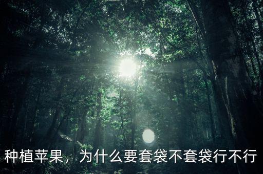 種植蘋(píng)果，為什么要套袋不套袋行不行