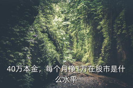 40萬本金，每個(gè)月掙1萬在股市是什么水平