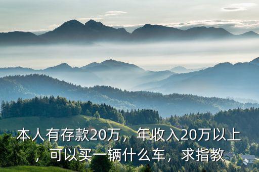 本人有存款20萬，年收入20萬以上，可以買一輛什么車，求指教