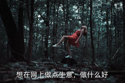 想在網(wǎng)上做點生意，做什么好
