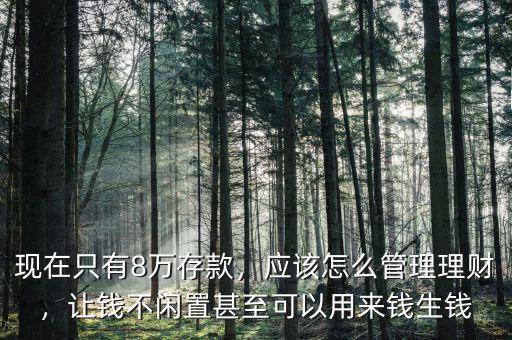 現(xiàn)在只有8萬存款，應該怎么管理理財，讓錢不閑置甚至可以用來錢生錢