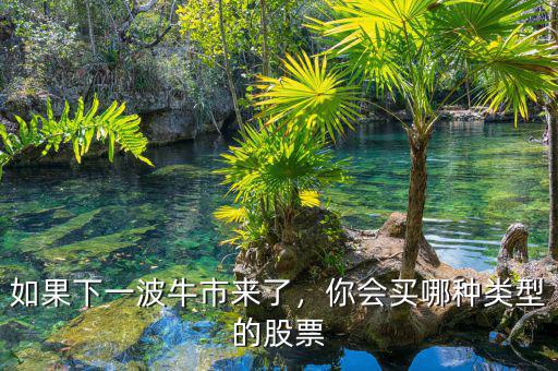 如果下一波牛市來(lái)了，你會(huì)買哪種類型的股票