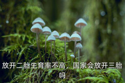 放開二胎生育率不高，國家會(huì)放開三胎嗎