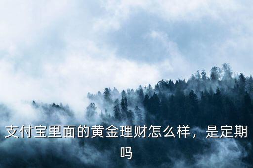 支付寶里面的黃金理財怎么樣，是定期嗎
