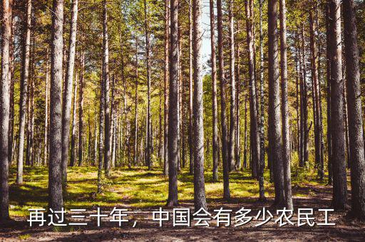 再過三十年，中國會(huì)有多少農(nóng)民工