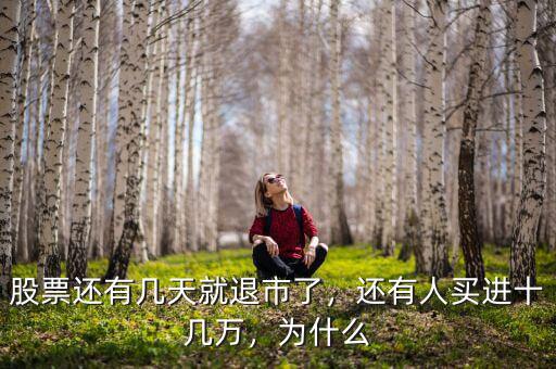 股票還有幾天就退市了，還有人買進十幾萬，為什么