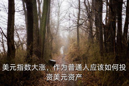美元指數(shù)大漲，作為普通人應(yīng)該如何投資美元資產(chǎn)