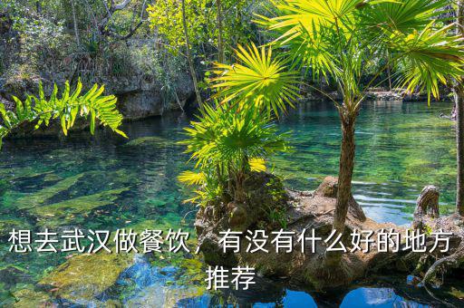 想去武漢做餐飲，有沒有什么好的地方推薦