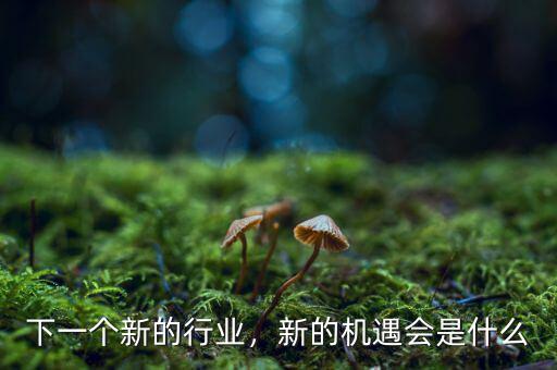下一個新的行業(yè)，新的機(jī)遇會是什么