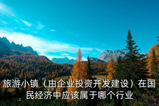 旅游小鎮(zhèn)（由企業(yè)投資開發(fā)建設）在國民經濟中應該屬于哪個行業(yè)