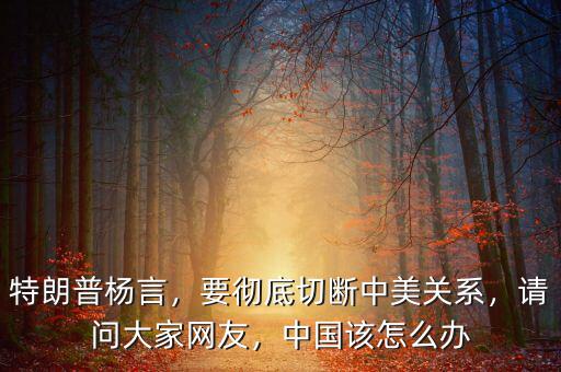 特朗普楊言，要徹底切斷中美關系，請問大家網(wǎng)友，中國該怎么辦