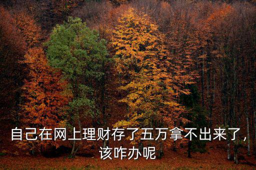 自己在網(wǎng)上理財存了五萬拿不出來了，該咋辦呢