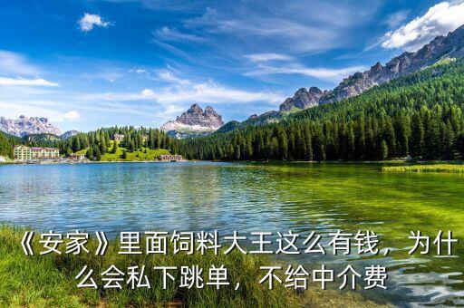 《安家》里面飼料大王這么有錢，為什么會私下跳單，不給中介費