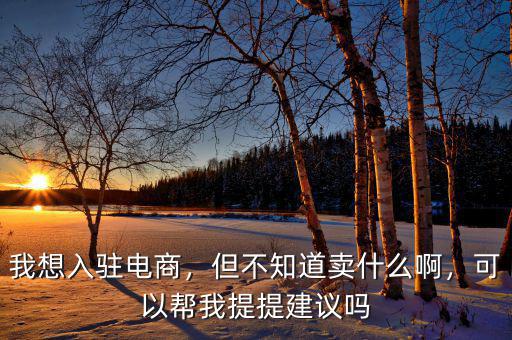 我想入駐電商，但不知道賣什么啊，可以幫我提提建議嗎