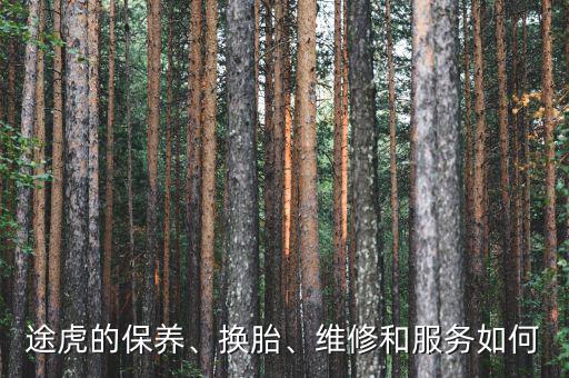 途虎的保養(yǎng)、換胎、維修和服務(wù)如何