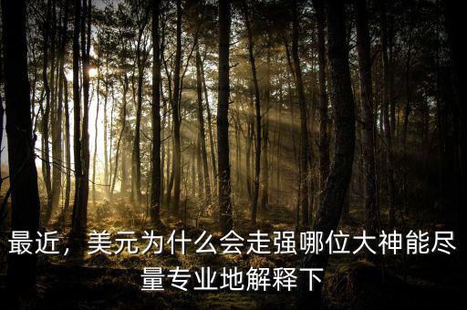 最近，美元為什么會(huì)走強(qiáng)哪位大神能盡量專(zhuān)業(yè)地解釋下
