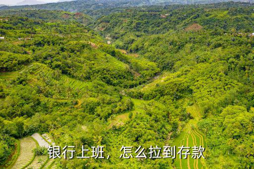 銀行上班，怎么拉到存款