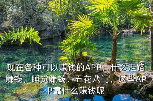 現(xiàn)在各種可以賺錢(qián)的APP，什么走路賺錢(qián)，睡覺(jué)賺錢(qián)，五花八門(mén)，這些APP靠什么賺錢(qián)呢