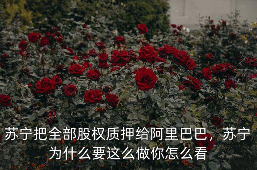 蘇寧把全部股權(quán)質(zhì)押給阿里巴巴，蘇寧為什么要這么做你怎么看