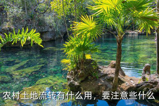 農(nóng)村土地流轉(zhuǎn)有什么用，要注意些什么
