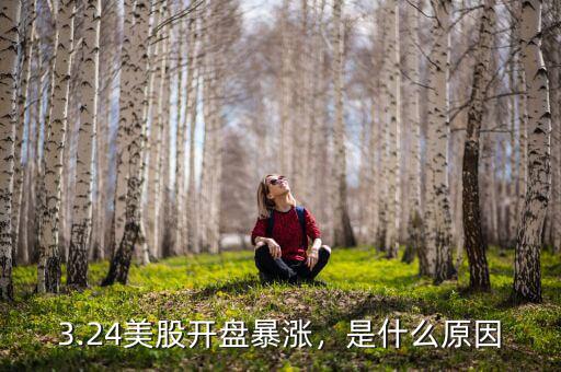 3.24美股開(kāi)盤(pán)暴漲，是什么原因
