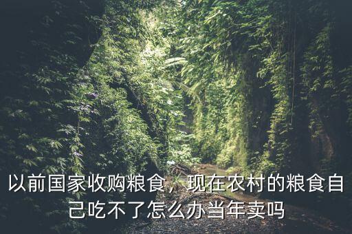 以前國家收購糧食，現(xiàn)在農(nóng)村的糧食自己吃不了怎么辦當(dāng)年賣嗎