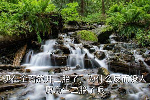 現(xiàn)在全面放開二胎了，為什么反而沒人愿意生二胎了呢