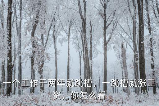 一個(gè)工作干兩年就跳槽，一跳槽就漲工資，你怎么看