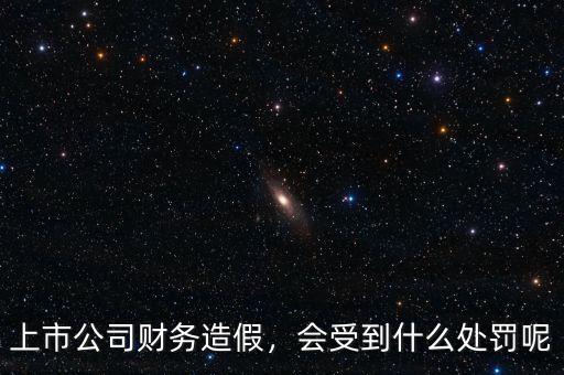 上市公司財務(wù)造假，會受到什么處罰呢