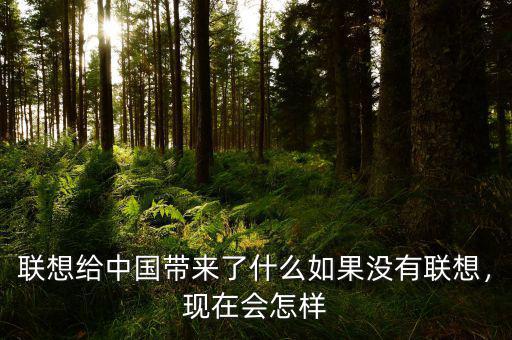 聯(lián)想給中國(guó)帶來(lái)了什么如果沒(méi)有聯(lián)想，現(xiàn)在會(huì)怎樣