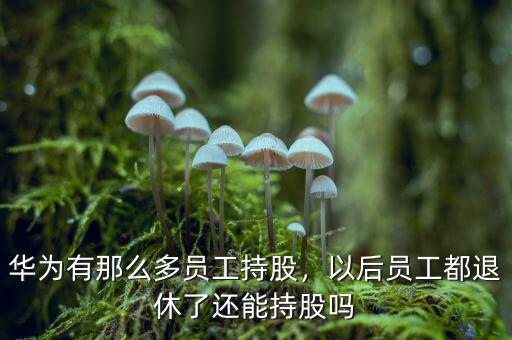 華為有那么多員工持股，以后員工都退休了還能持股嗎
