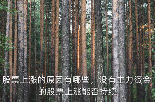 股票上漲的原因有哪些，沒有主力資金的股票上漲能否持續(xù)
