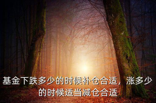 基金下跌多少的時(shí)候補(bǔ)倉合適，漲多少的時(shí)候適當(dāng)減倉合適