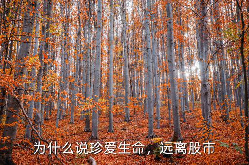 為什么說(shuō)珍愛(ài)生命，遠(yuǎn)離股市