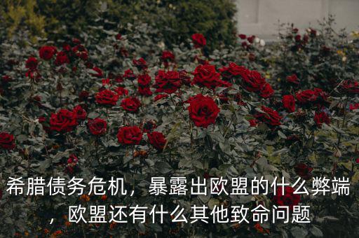 希臘債務危機，暴露出歐盟的什么弊端，歐盟還有什么其他致命問題