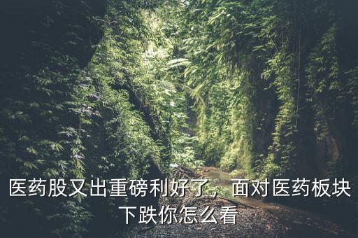 醫(yī)藥股又出重磅利好了，面對(duì)醫(yī)藥板塊下跌你怎么看
