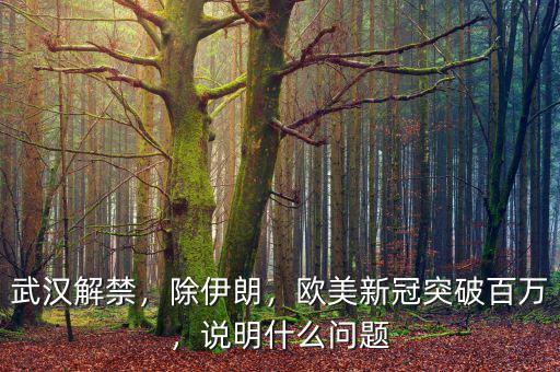 武漢解禁，除伊朗，歐美新冠突破百萬，說明什么問題