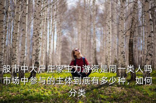 股市中大戶莊家主力游資是同一類人嗎市場中參與的主體到底有多少種，如何分類