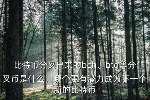 比特幣分叉出來的bch、btg等分叉幣是什么，哪個更有潛力成為下一個新的比特幣