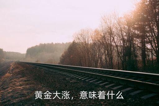 黃金大漲，意味著什么
