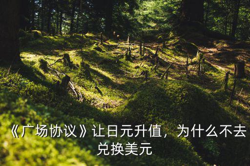 《廣場協(xié)議》讓日元升值，為什么不去兌換美元