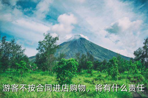 游客不按合同進(jìn)店購(gòu)物，將有什么責(zé)任