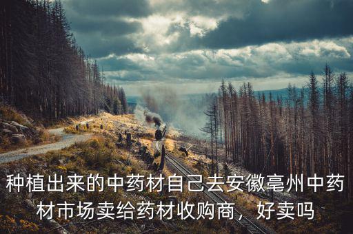 種植出來的中藥材自己去安徽亳州中藥材市場賣給藥材收購商，好賣嗎