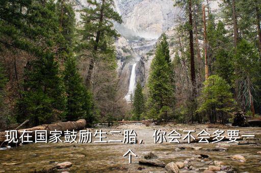 現(xiàn)在國家鼓勵生二胎，你會不會多要一個