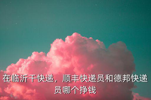 在臨沂干快遞，順豐快遞員和德邦快遞員哪個(gè)掙錢