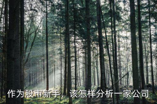 作為股市新手，該怎樣分析一家公司