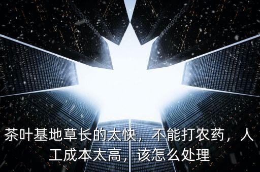 茶葉基地草長(zhǎng)的太快，不能打農(nóng)藥，人工成本太高，該怎么處理