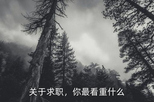 關(guān)于求職，你最看重什么